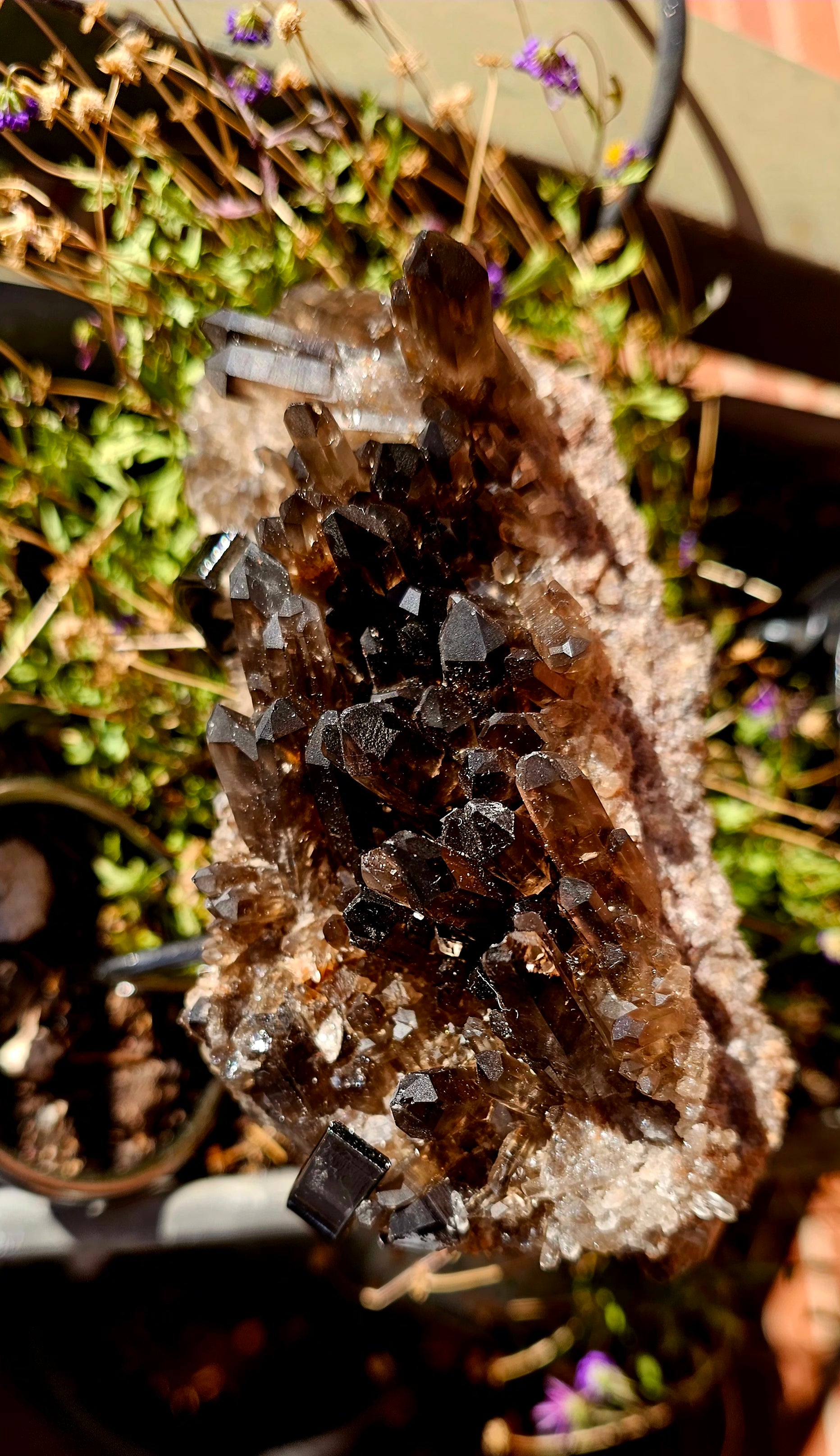 🔮 Drusa de Cuarzo Ahumado ✨ Maestro Sanador de Puntas 🌑 Pieza Única 500g 🕯️💨