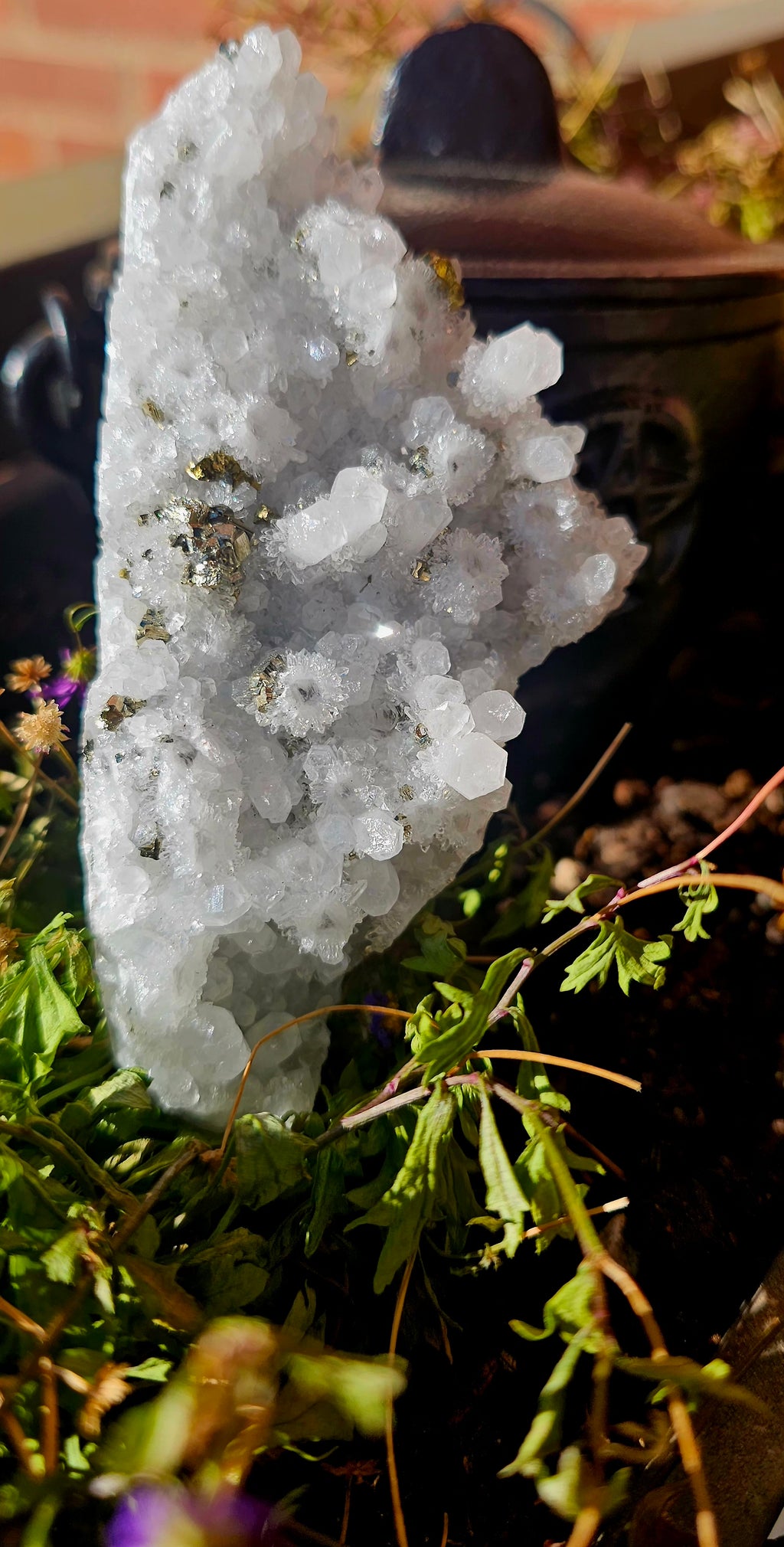 ✨ Drusa de Cuarzo Blanco con Pirita 💫 Luz & Oro Sagrado 🔮 Pieza Única 150g 🌟