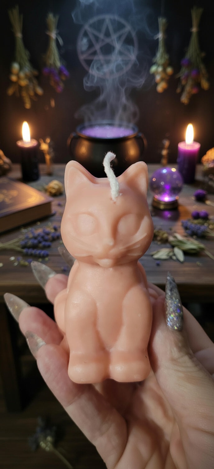🐱 Vela Gatito Sorpresa | Aroma Mágico para Peques