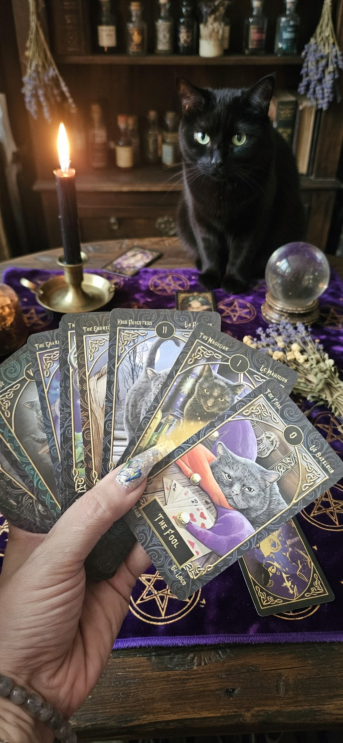 🐱🔮 Familiars Tarot ✨ Cartas de Colección para Brujas