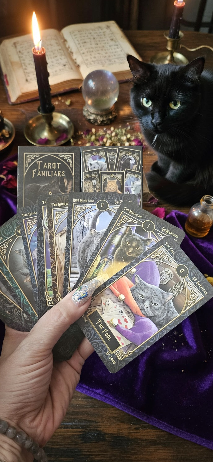 🐱🔮 Familiars Tarot ✨ Cartas de Colección para Brujas