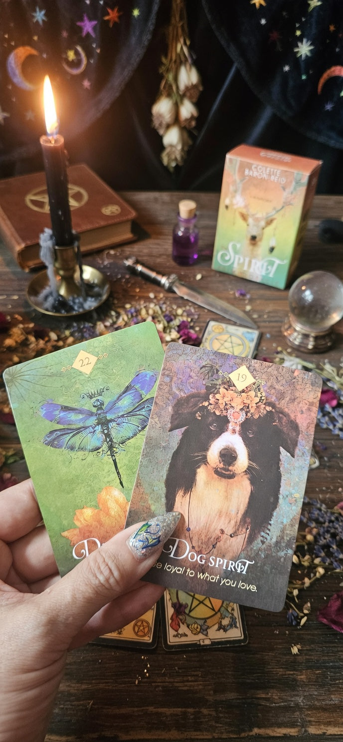 🔮 Spirit Animal Oracle ✨ Descubre Tu Animal de Poder