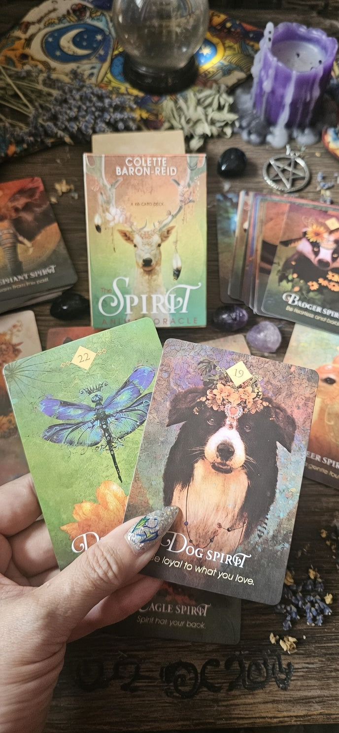 🔮 Spirit Animal Oracle ✨ Descubre Tu Animal de Poder
