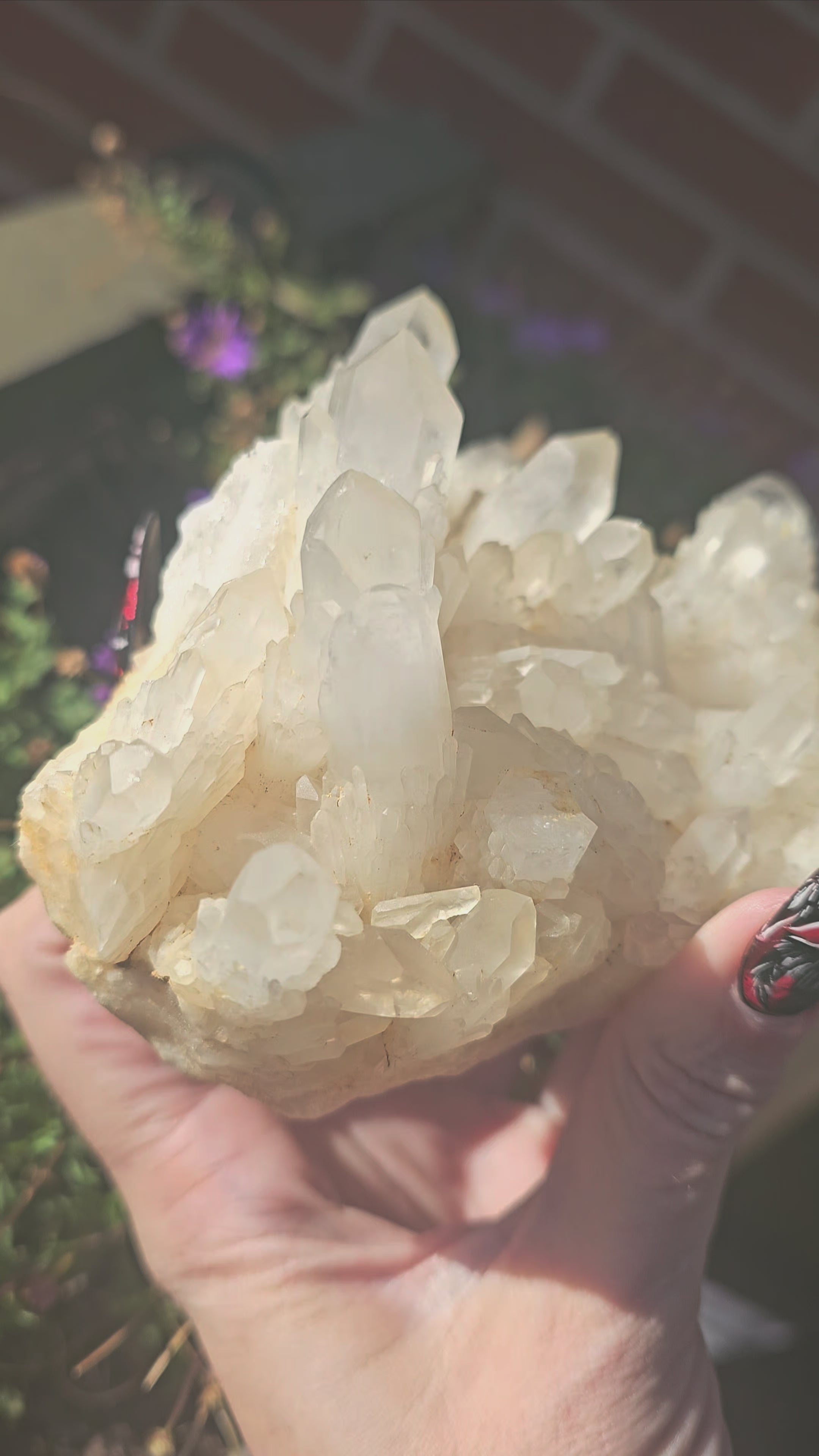 Cuarzo Cristal del Himalaya - Pieza Única de Montaña Sagrada 750g
