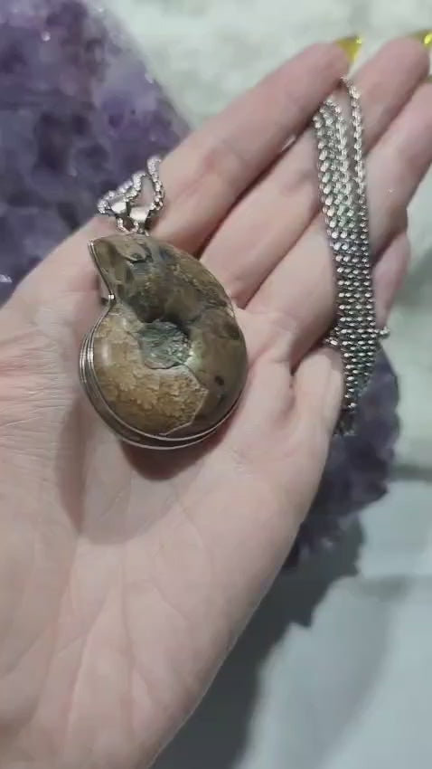 💫 Pareja de Amonites Ancestrales 🌀 Fósiles Ritualizados del Amor y la Amistad Eterna ✨