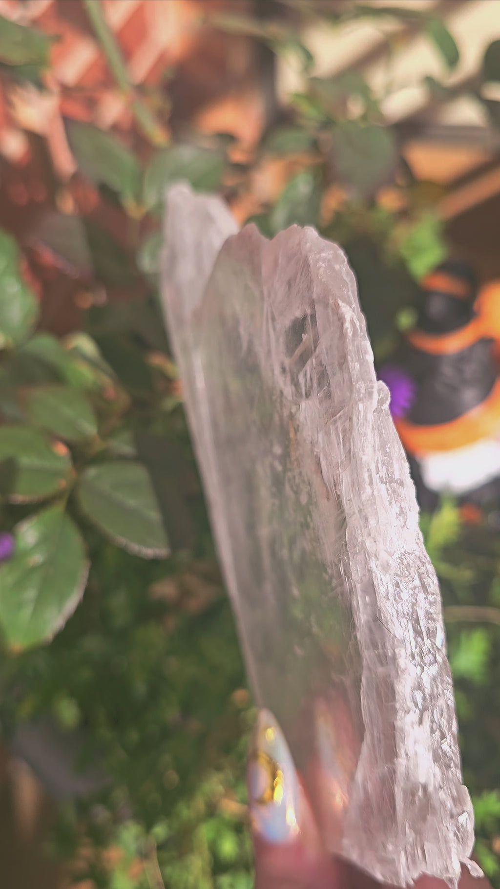 🤍 Placa de Selenita Natural Transparente | Mineral de Protección Suprema ✨