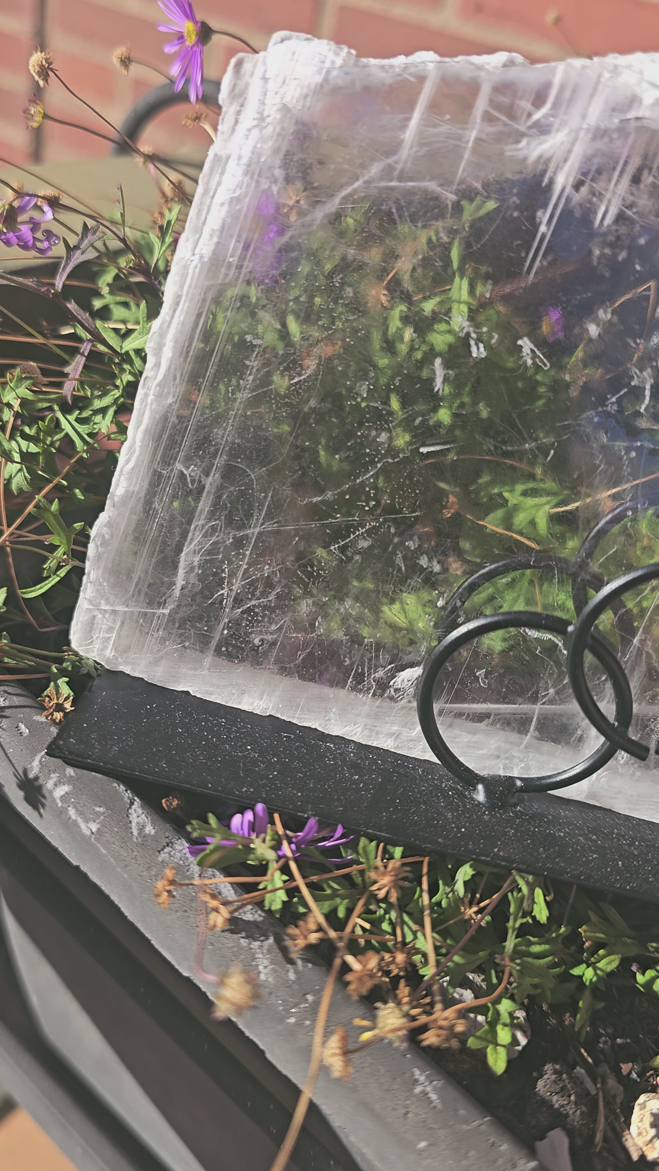 🤍 Placa de Selenita Natural Transparente | Mineral de Protección Suprema ✨